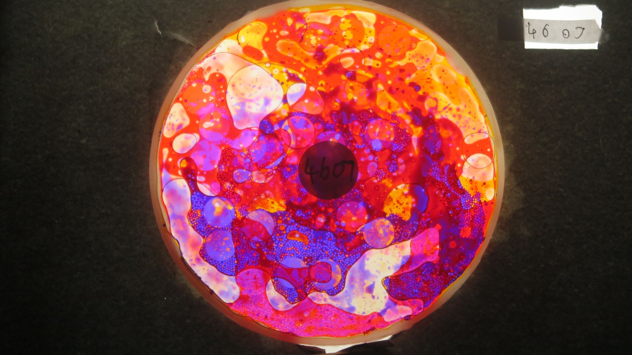 BV4607 bubble vision oil wheel